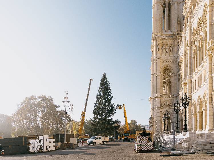 Weihnachtsbaum am Rathausplatz aufgestellt