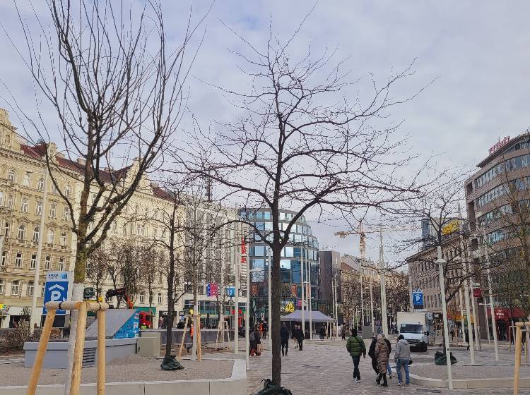 Christian-Broda-Platz: Klimafit in die Mahü