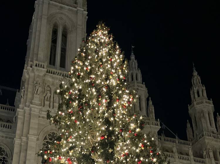 Ludwig und Mikl-Leitner erleuchten Christbaum am Rathausplatz