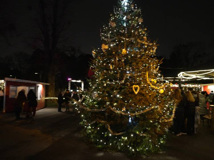 Es weihnachtet im Türkenschanzpark