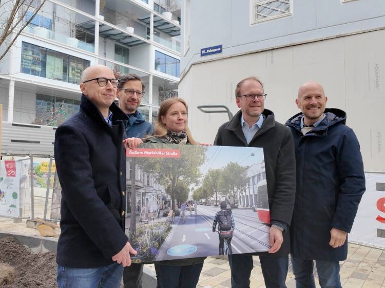 Ulme erhält neuen Stammplatz auf Mahü