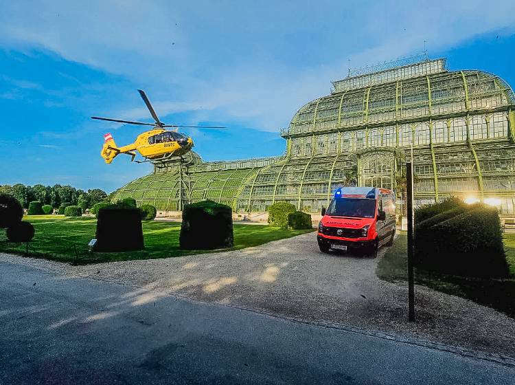 Zweijähriger nach Sturz im Tiergarten Schönbrunn schwer verletzt