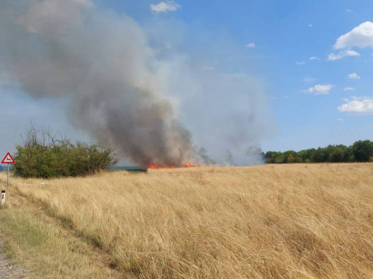 Waldbrand bei Gerasdorf: Feuerwehr-Großeinsatz