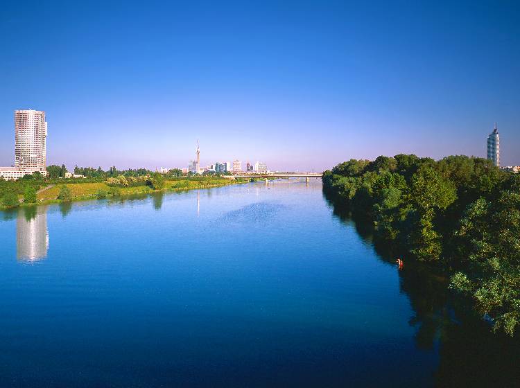 Mann in Neuer Donau ums Leben gekommen